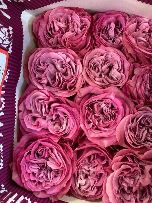 Пионовидные розы, пионы, розы