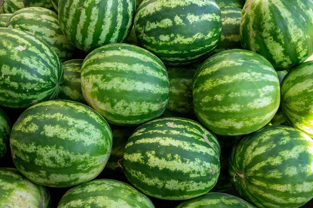 Tarvuz —> 1 kg 1100 so‘m, Qovun —> 1 kg 5000 so‘m.