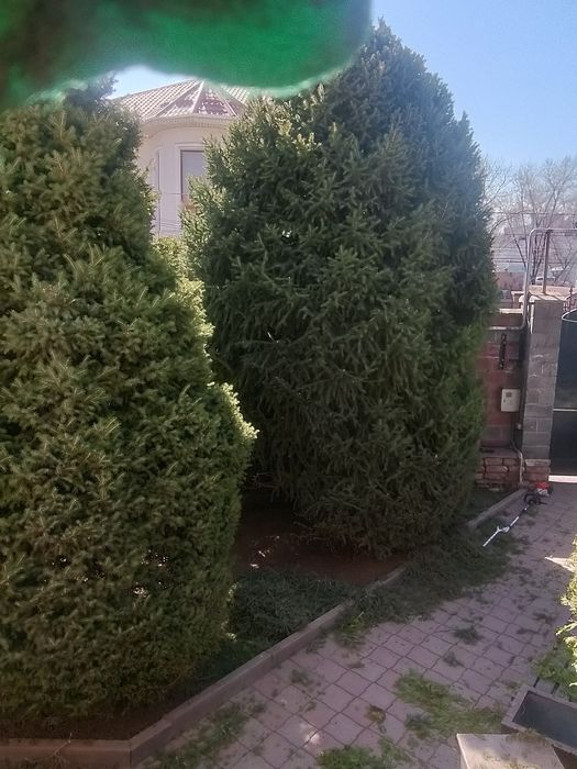посев газона   уход сада всё включено