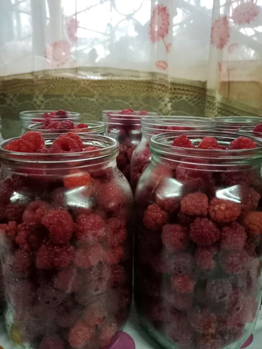 Малина и черная смородина