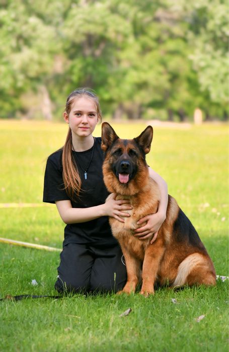 Продажа щенков немецкой овчарки