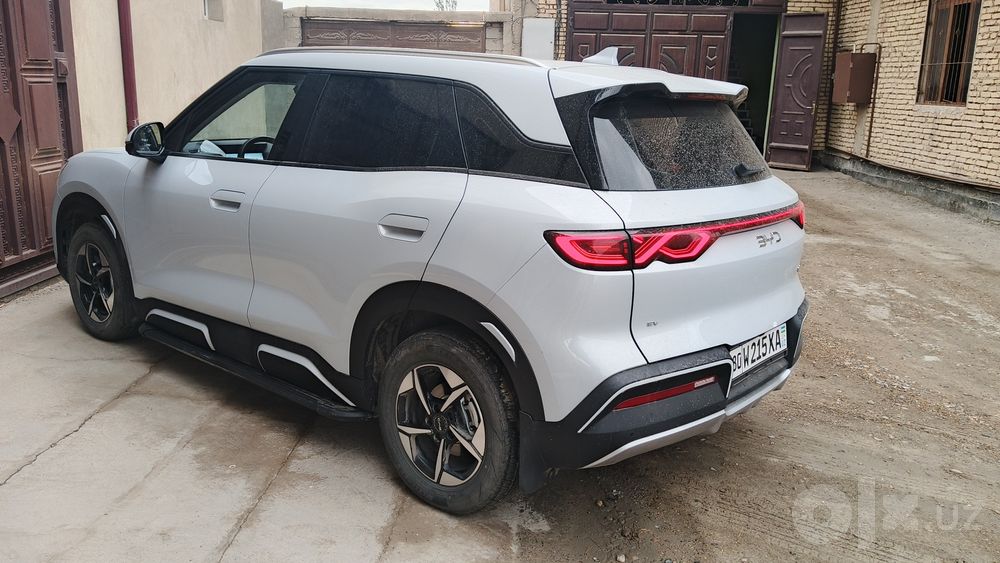 BVD yuan ap 2025