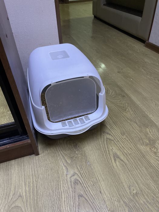 Отдам кошку в добрые руки