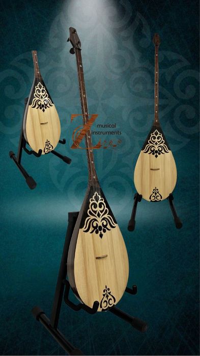 Домбыра кәсіби және әуесқой