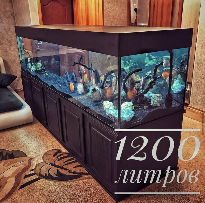 Элитные Аквариумы под заказ