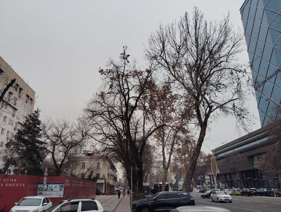 БАБУРА улица. 2 х комнатную квартиру. 9/9. Без ремонта. 58 м2 . Торец