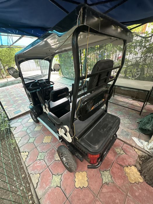 Электрогольфкар ECO BIKE 2025