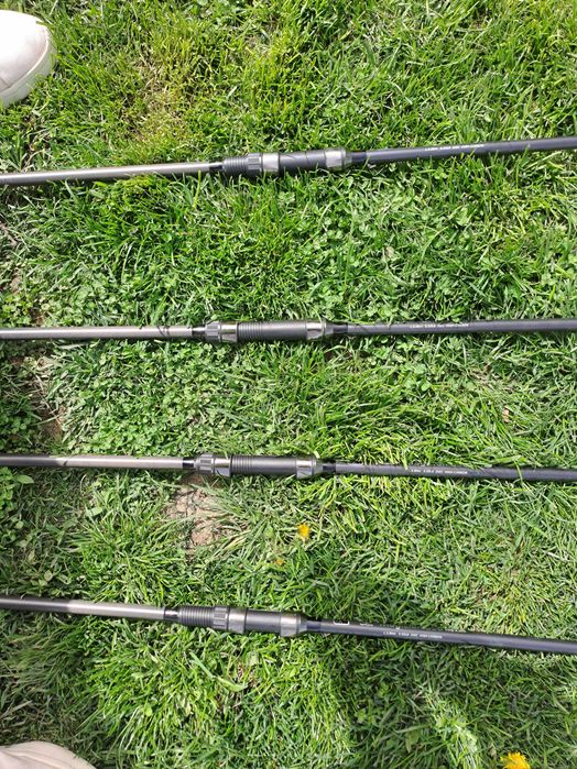 Bete pescuit Crap noi