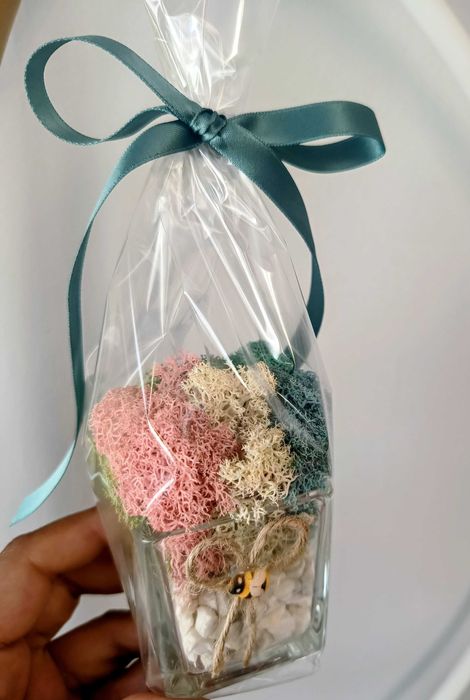 Стъклени кашпи със скандинавски мъх