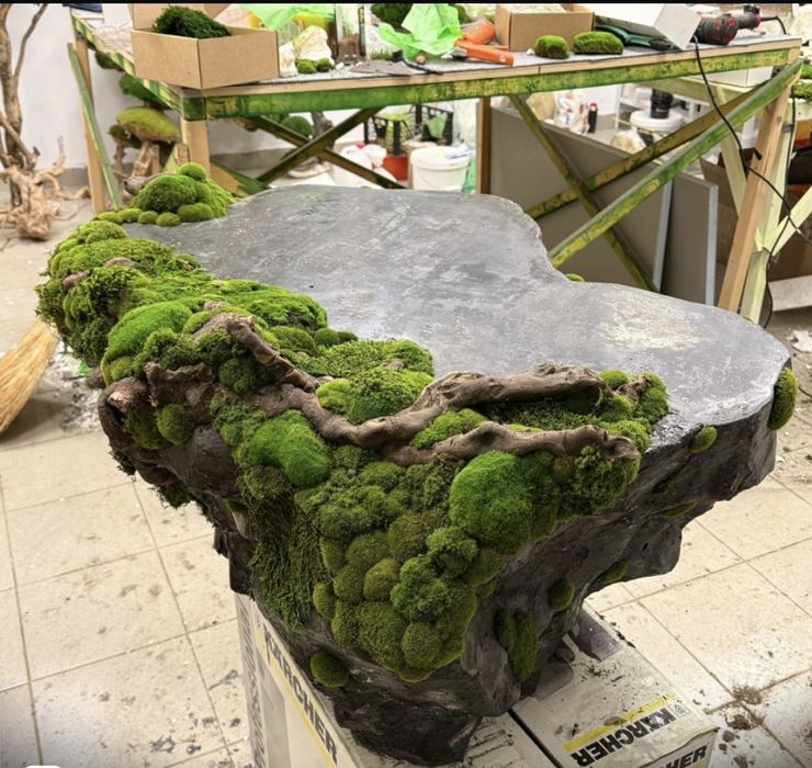 Сухоцветы! Картины из стабилизированного мха. Коряги. Гриб чага