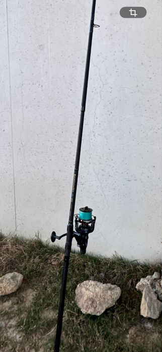 Vand set de 4 Lansete /  Bete Komodo 3,9 Crap 3,5LBS cu milimete