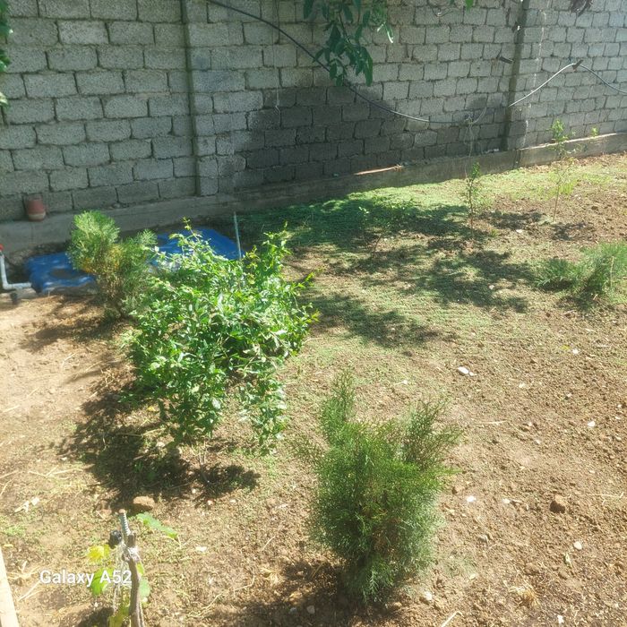 Ландшафт с нуля Полив и посадка.