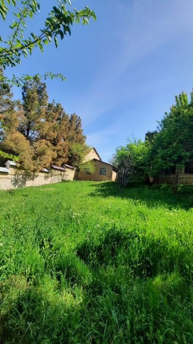 Кибрай дача.сув буйида