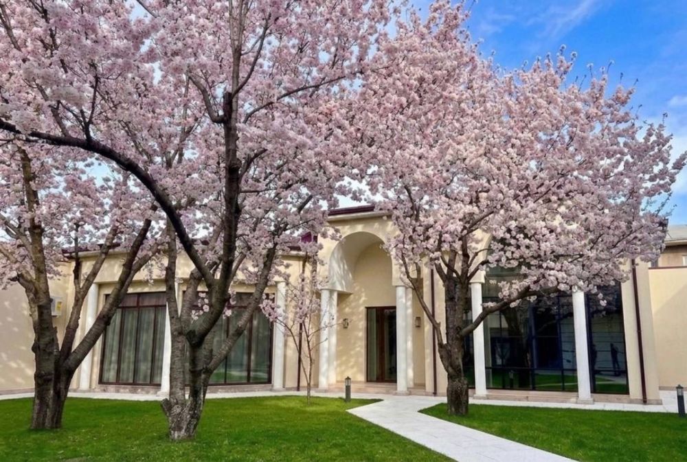 Дурмень Дом 24 соток