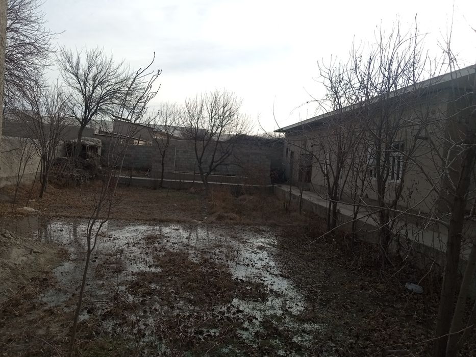 Yarim tayyor uchastka