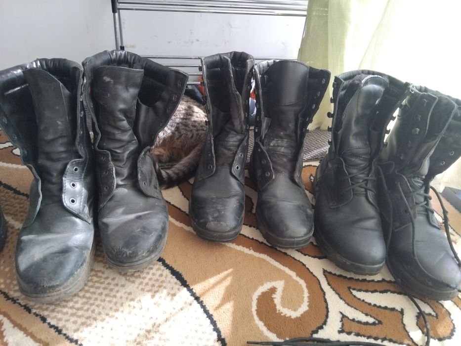 Продам Военныие берси