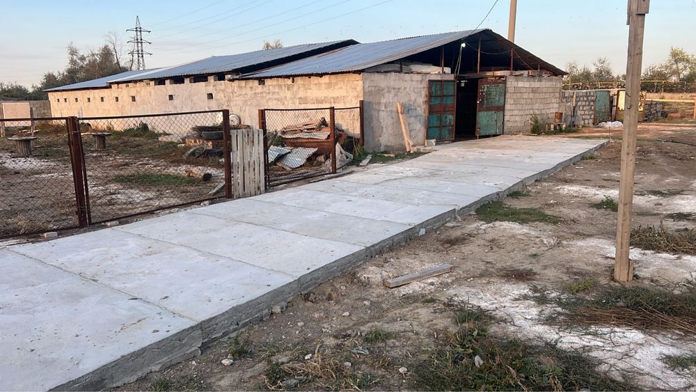 Сдам в аренду конюшню Байсерке