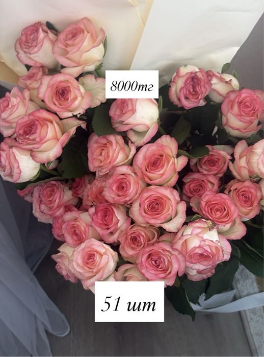 Розы цветы свежие