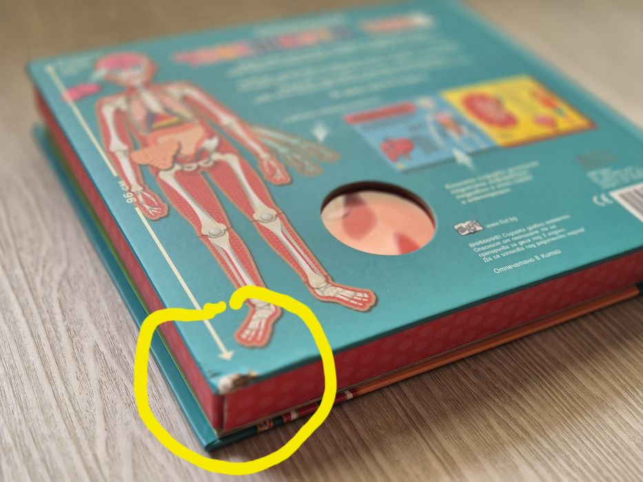 Прочети и сглоби! Човешкото тяло