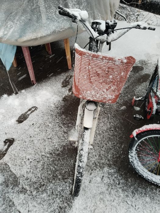 Velosapet sotladi 150$ kami bor