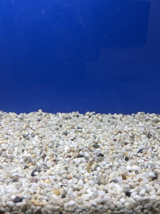 Грунт для аквариума 5 кг 2500 тг