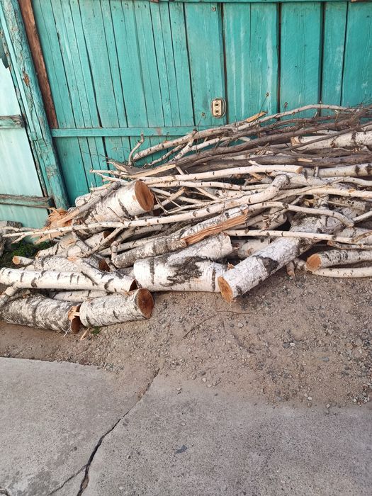 Дрова берёзовые бесплатно