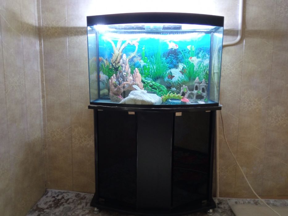 Аквариум 100 литр