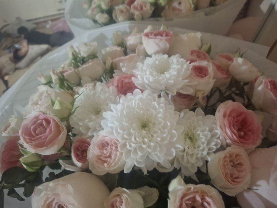 гүл алам десеңдер ватсапқа шығыңдар