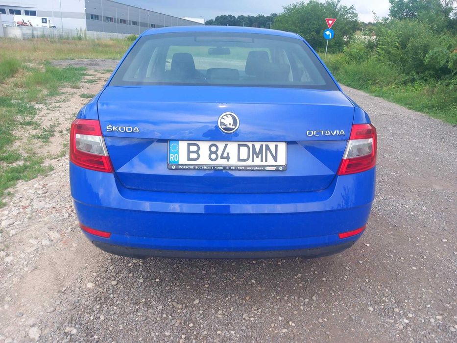 Auto Skoda Octavia 2019
