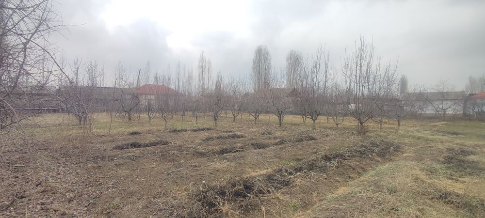 Учаска 15 соттох соттоғи 12.000$ дан