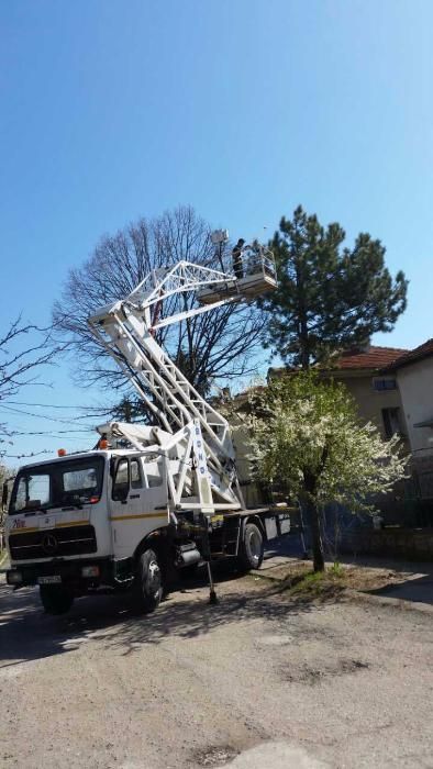 Рязане и премахване на опасни дървета Пловдив щил stihl husqvarna