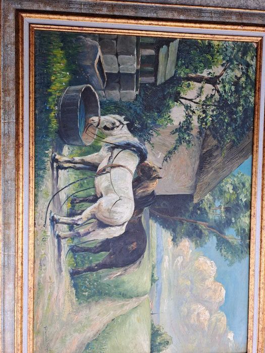 tablou pictura pe pfl 80/59 cm semnat Raymond Riga