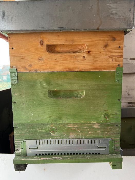 Vand stupi de albine din lemn, 10 rame, cu magazie 1/2 + accesorii