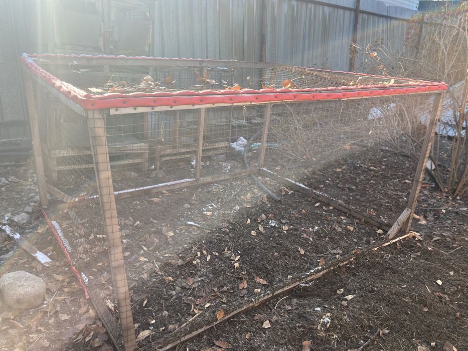 Клетки для еоллов и цыплят