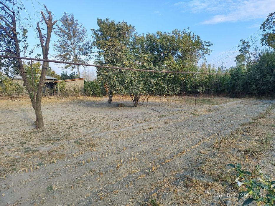 uchaska hovli jomboyda