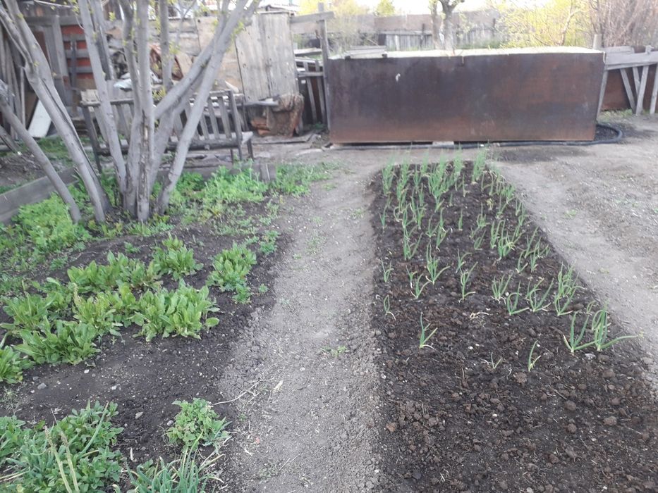 Продам дачу на Черёмушках