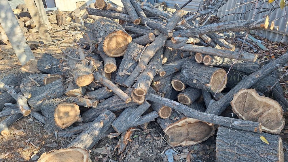 Сухие  дрова карагача и яблони