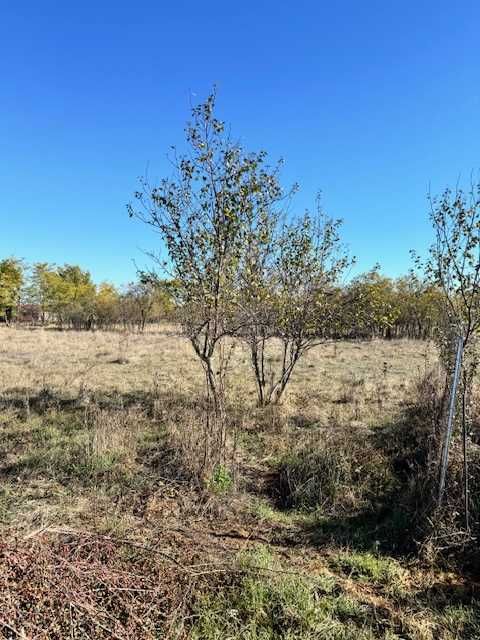 Teren pentru casă, 680 mp – 20 min de Timișoara, Dragșina