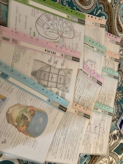 Vând materiale pentru admiterea la medicină - UMFCD