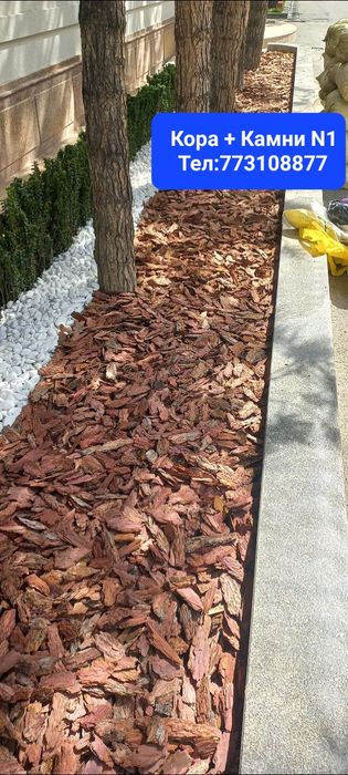 Сосновая Кора Для Ландшафта и Декора N1️⃣