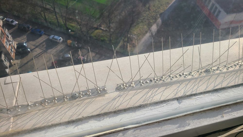 Шипове против гълъби за прозорец Репелент за птици неръждаема стомана