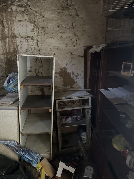 Отдам бесплатно текингааааа факат чикиндиларни хам олиб кетиш керак