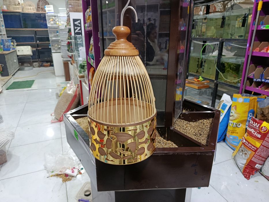 Италия бедона учун махсус капас