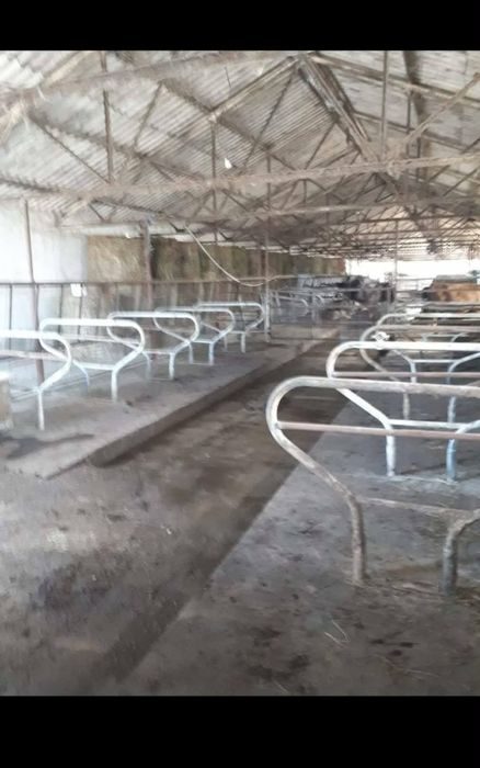 Vand ferma zootehnica cu sau fara utilaje