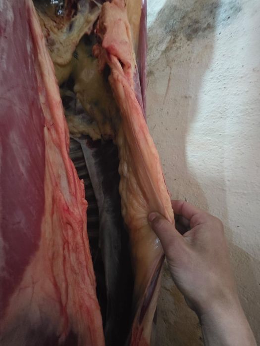 Продается жабагы