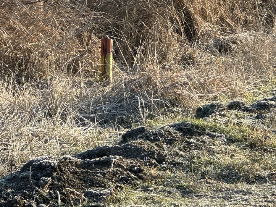 Teren intravilan  Bentu