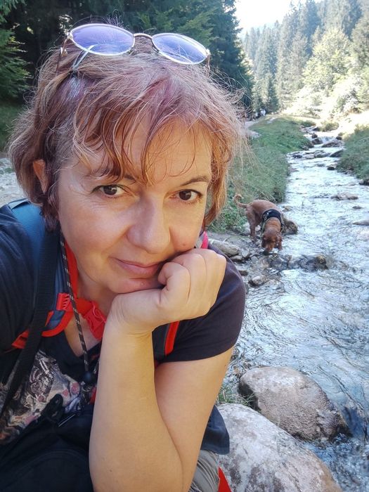 Pregătire limba engleza