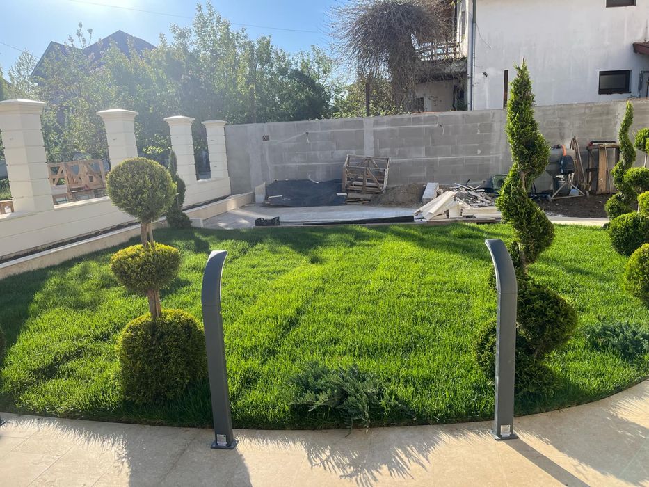 Plante ornamenatle si gazon rulou cu sistem de irigati