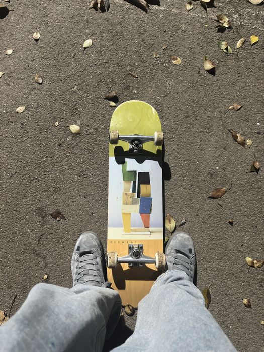 skateboard custom full element