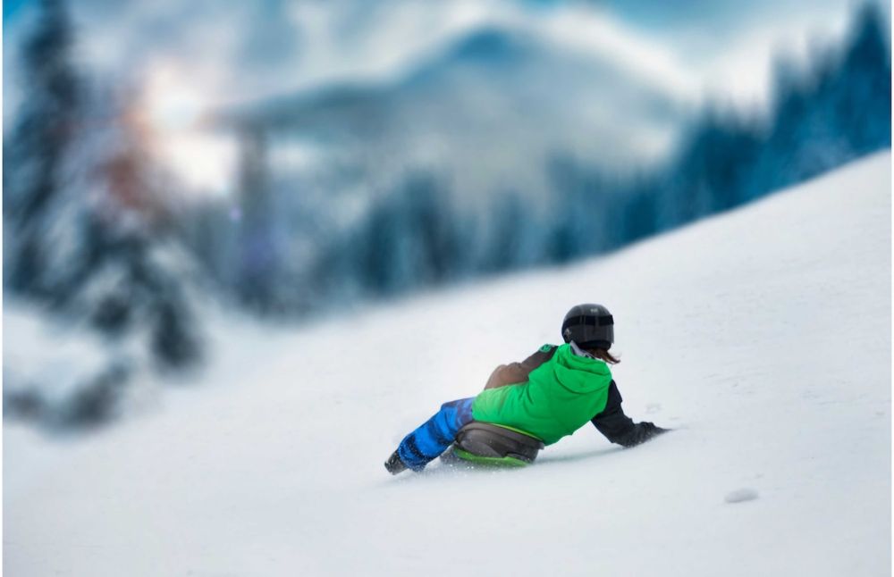 Шейна за деца и възрастни Gizmo Riders Skidrifter Skibob, Mystic Green